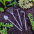 Rust Metal Garden Tools 4pc Set