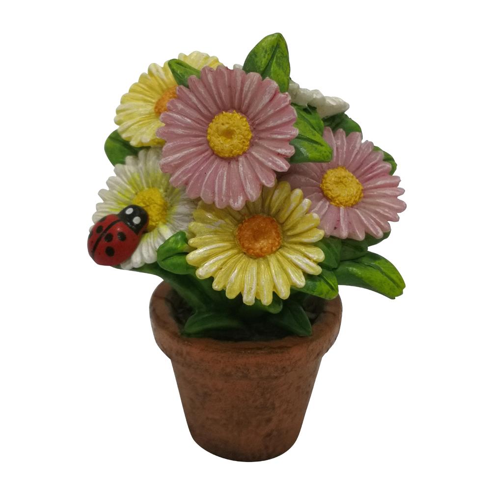 Miniature Daisy Pot, Bright Flowers, a pot of bright daisies with a ladybird on a flower in a terracotta pot