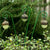 Acorn Lights - Set of 3 - Glow in the Dark Fairy Garden Landscaping The Woodland Knoll Collection 