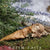 Little Fairy Sleeping Under a Golden Leaf Used as a Blanket, Eyes Closed, Hand at Mouth