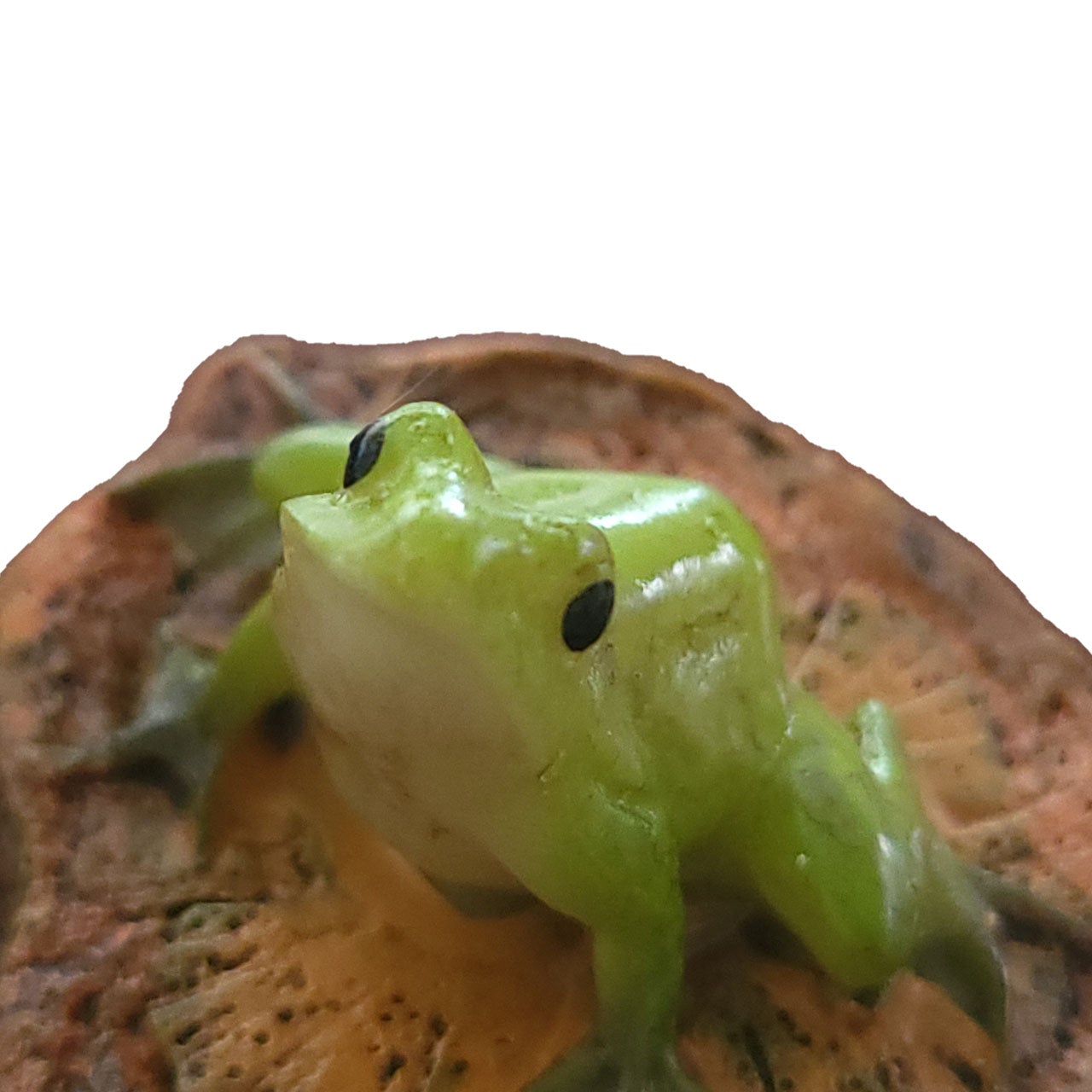 Sitting Frog Miniature Fairy Garden Figurine